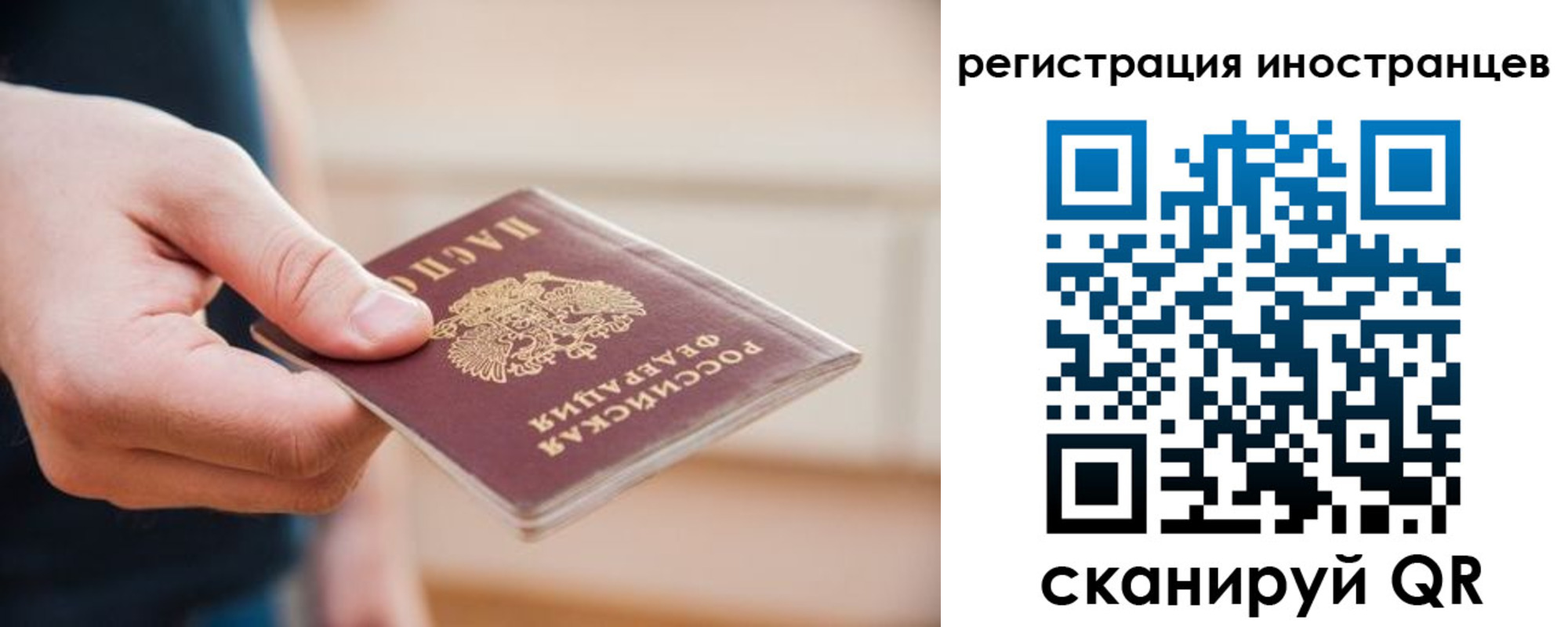прописка гарантия в Заинске